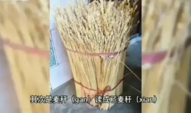 异装癖、假名媛、绝望的文盲…这些星二代究竟在“高贵”什么？