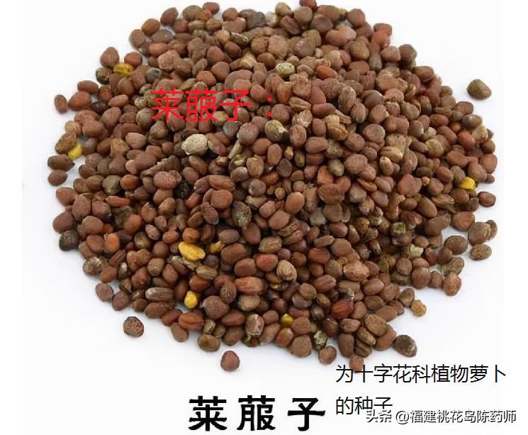 消食作用最好的中药是,中药学之消食药