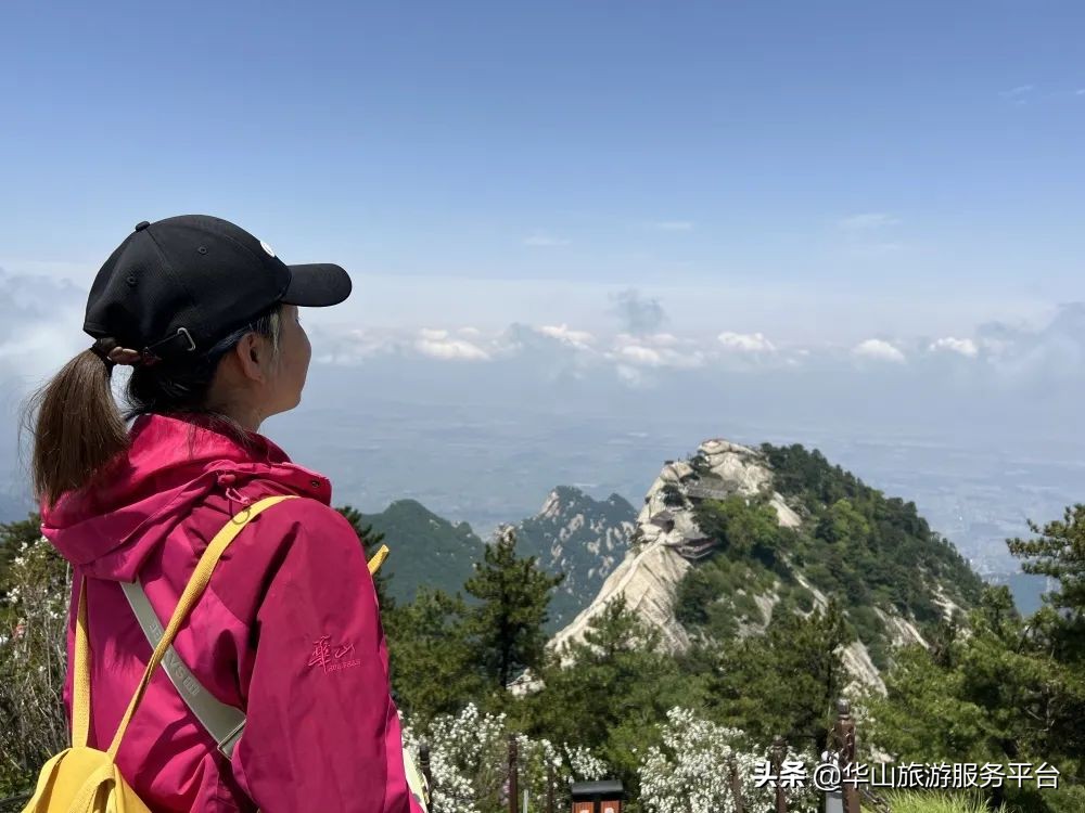这段时间游华山免门票,华山旅游景点免门票怎么预约的