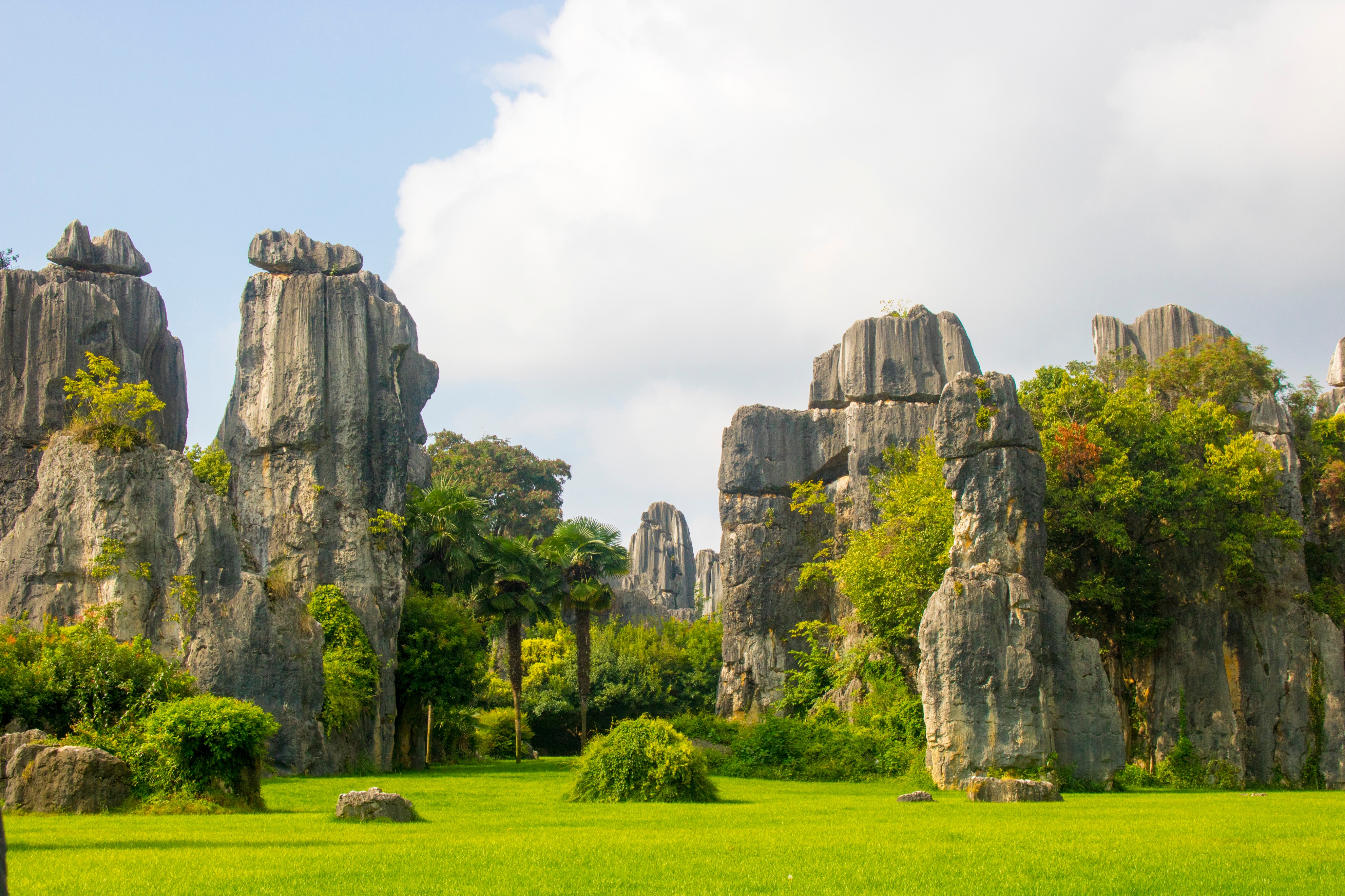 昆明周边游玩景点推荐一日游免票,昆明世博园2022年免费开放时间
