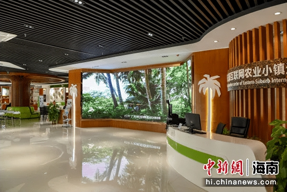 中国哪里的椰子最好喝,世界上最好喝的椰子