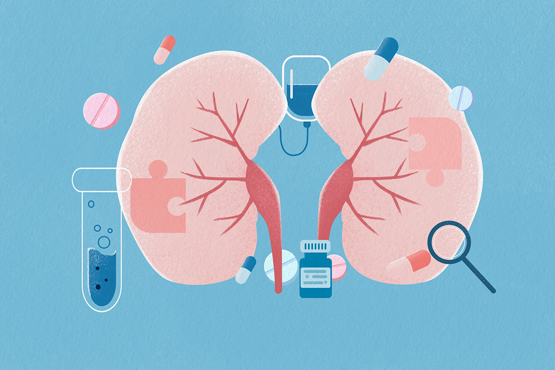 男科常用的补肾药有哪些,男科肾虚常用药