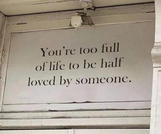 老娘那么优秀，还需要你那点鸡零狗碎的爱情？很火的英文译句