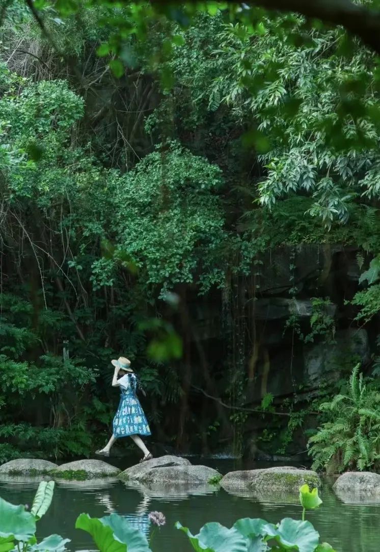 深圳哪里避暑最好玩,深圳避暑最佳旅游地