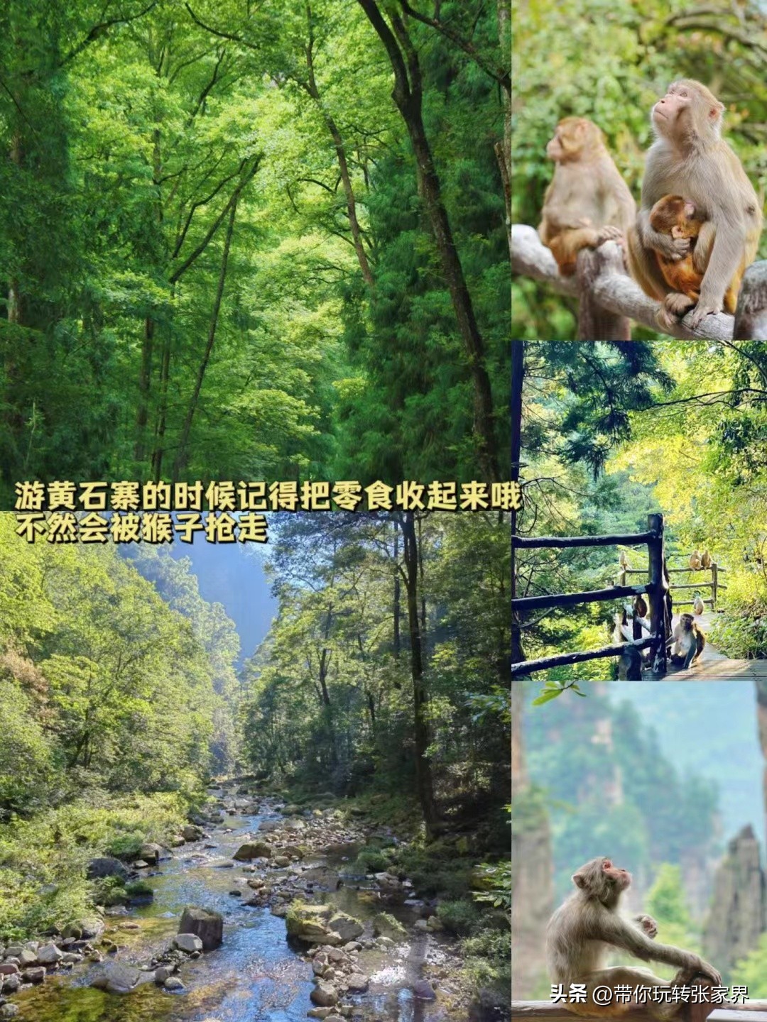 福州去长沙张家界凤凰古城攻略,张家界凤凰古城芙蓉镇自驾游攻略