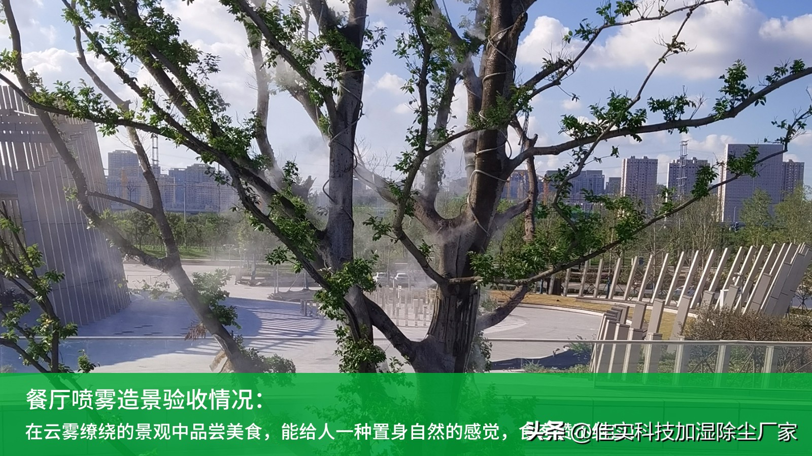 餐厅死角造景效果,生态餐厅景观效果图