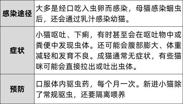 猫咪偏瘦增加脂肪,猫咪变瘦毛色差的原因