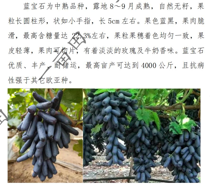 在一亩田上开店卖农产品运营技巧,一亩田怎么找农产品销路