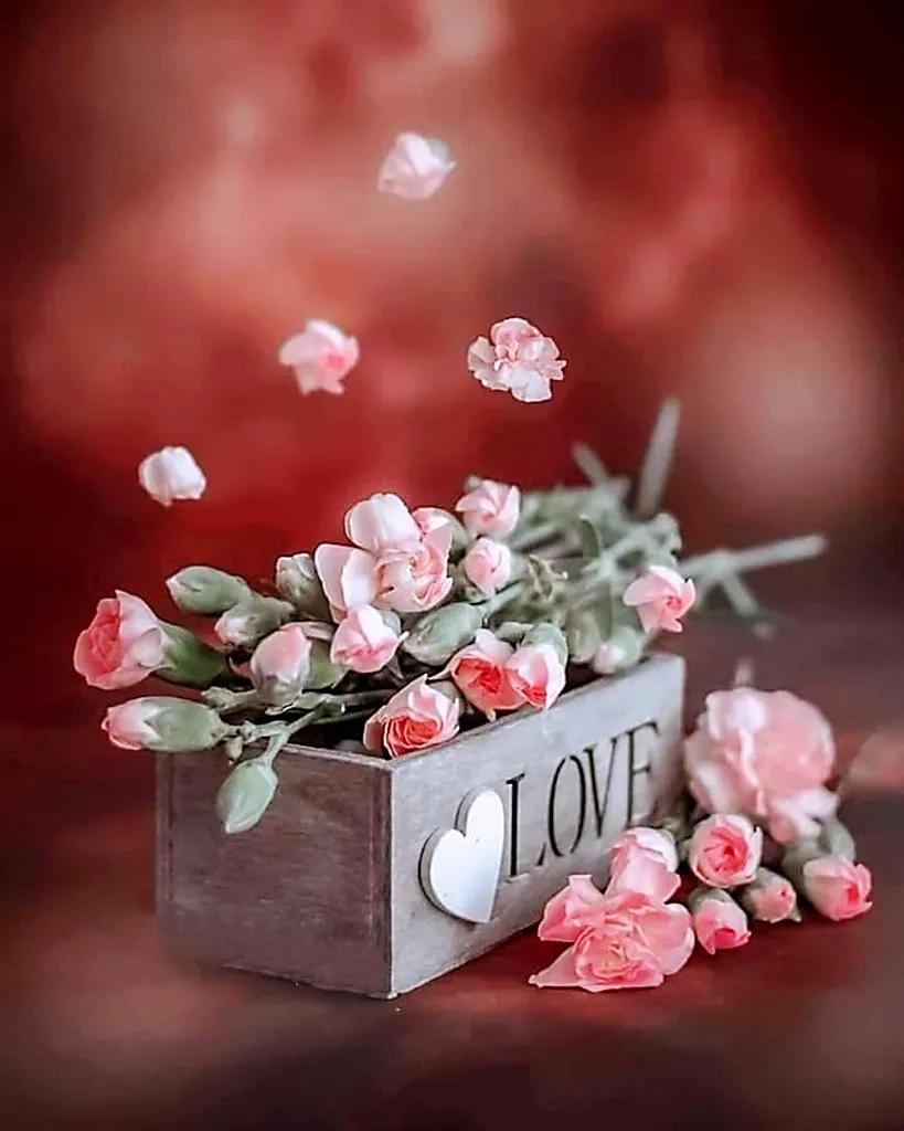 鲜花永远是女人的最爱,鲜花打动女人心