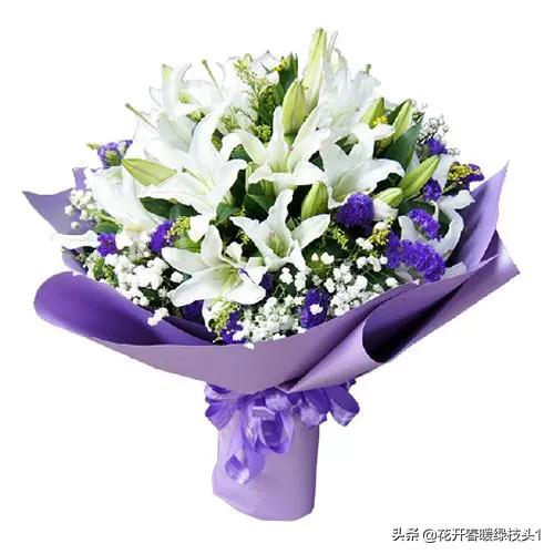 每个花朵的花语,花朵的各种花语是什么