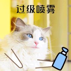 四六级作文跑题了怎么办,四六级作文字数超了怎么办