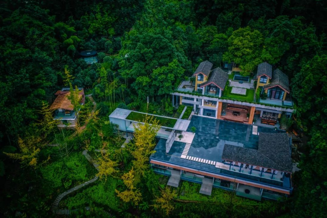 中国十大网红民宿,年盈利千万的民宿