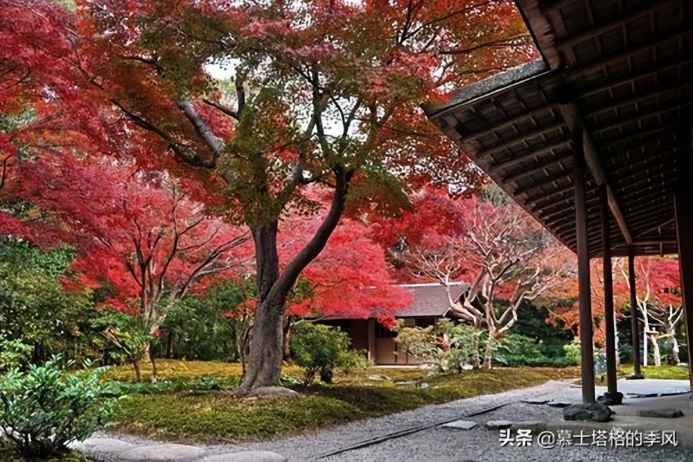 维也纳全球宜居城市,世界最适宜居住的城市维也纳