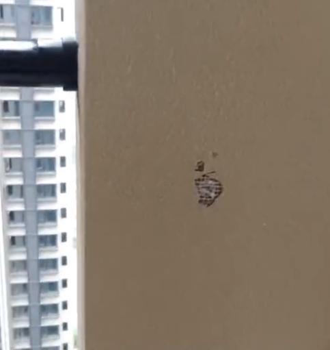 贵港碧桂园中央上城户型歪门斜道,业主新房构造奇特直呼歪门斜道