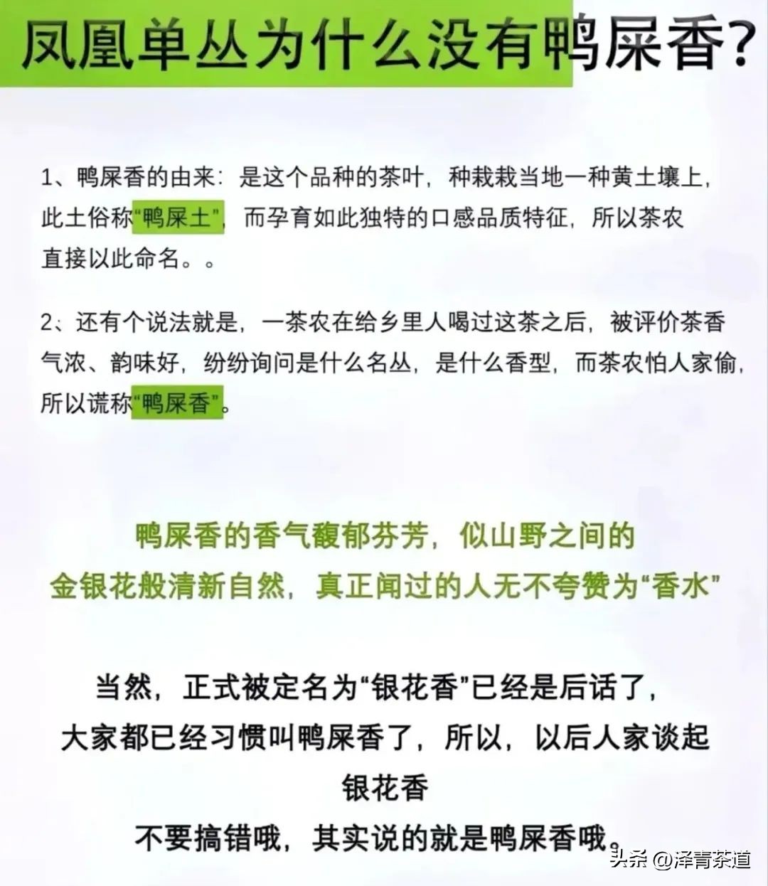 了解一下凤凰单丛,了解凤凰单丛