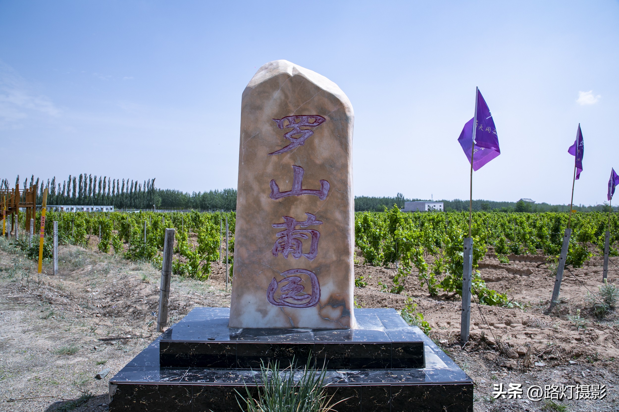 波尔多顶级酒庄,波尔多有哪些列级酒庄