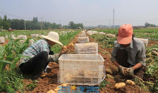 山东农业绿色发展,农业绿色发展先行示范区