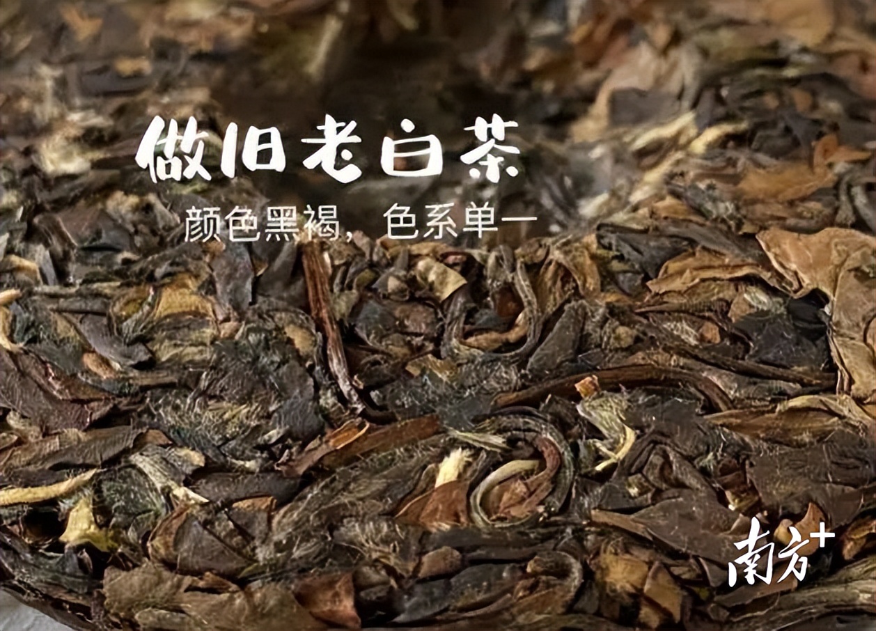 315茶叶骗局揭秘讲解,315茶叶骗局揭秘视频