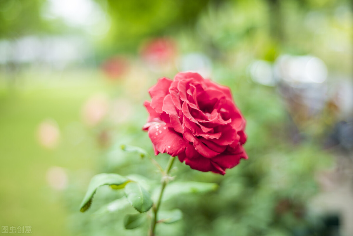 人生感悟文案短句干净治愈,微信个性签名文案短句干净治愈