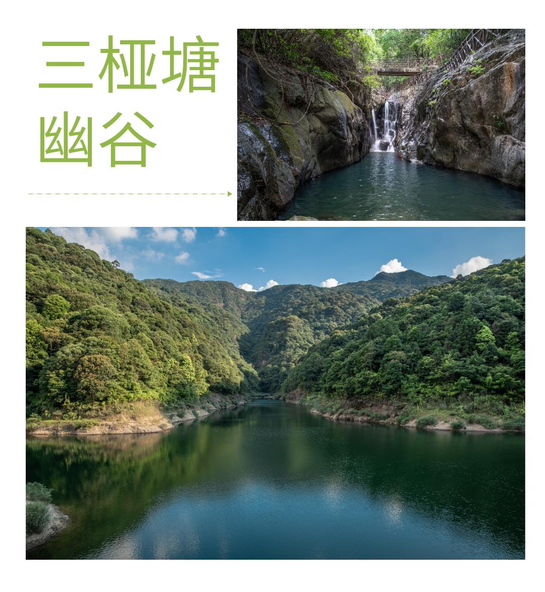 从化摘果攻略,从化摘水果攻略