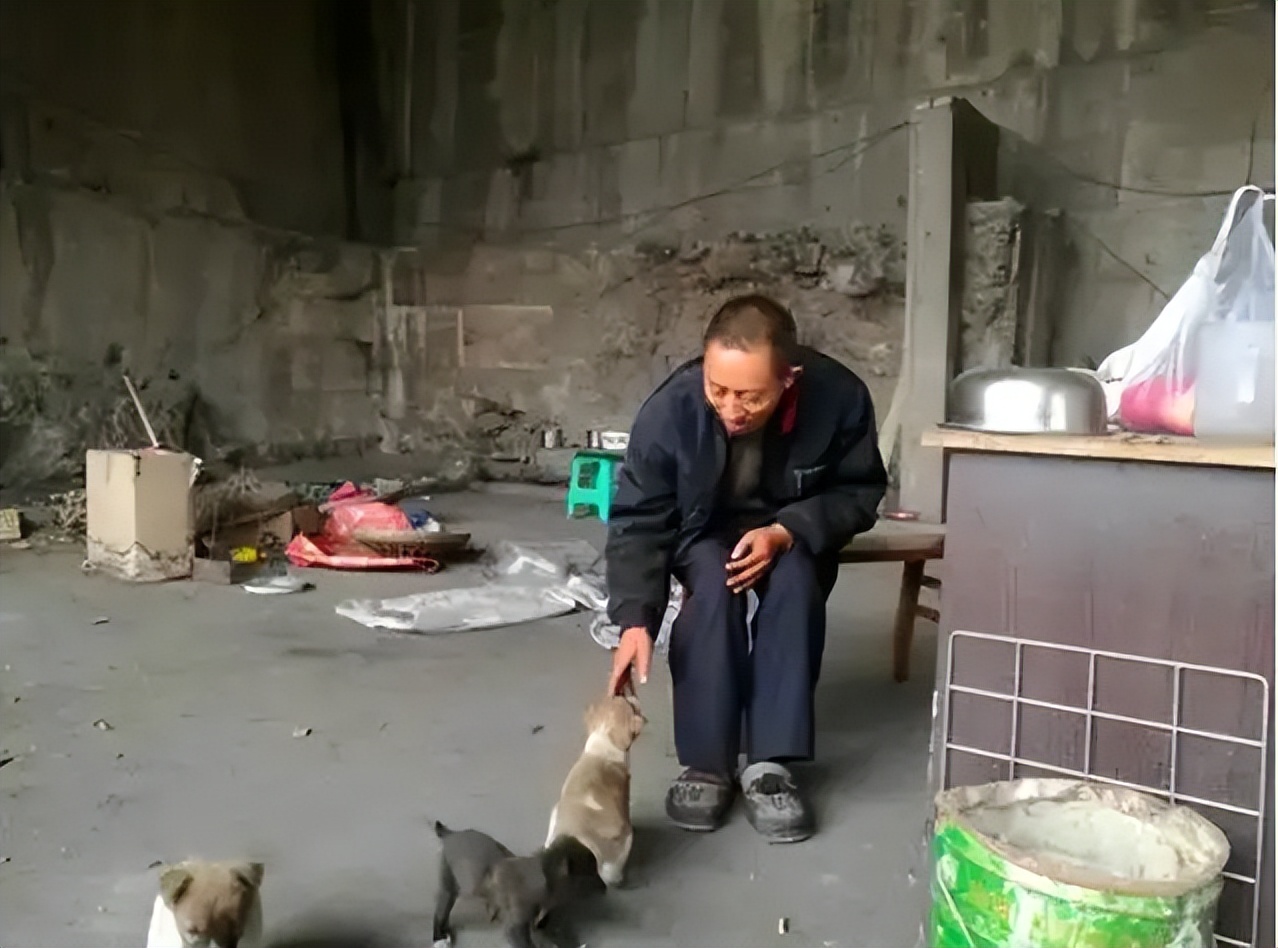 遂宁男子十年蜗居桥洞研究彩票,四川老汉研究彩票住桥洞