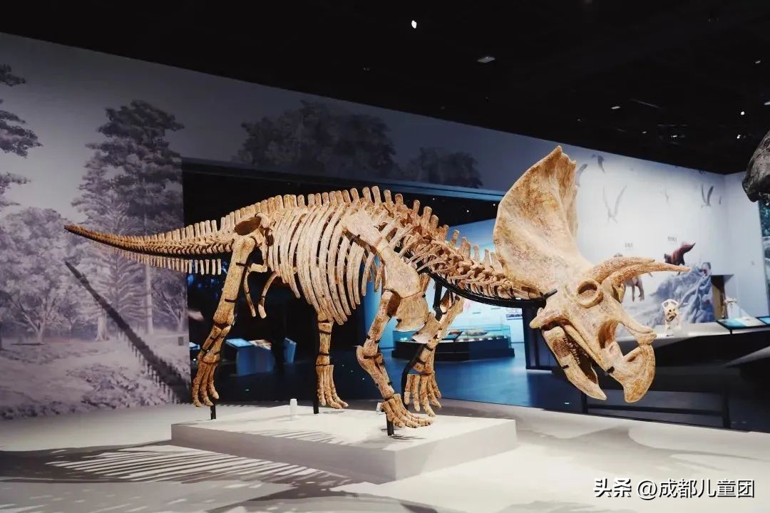 2022年的周末，我们玩了157个地方，这22个值得假期再去一次