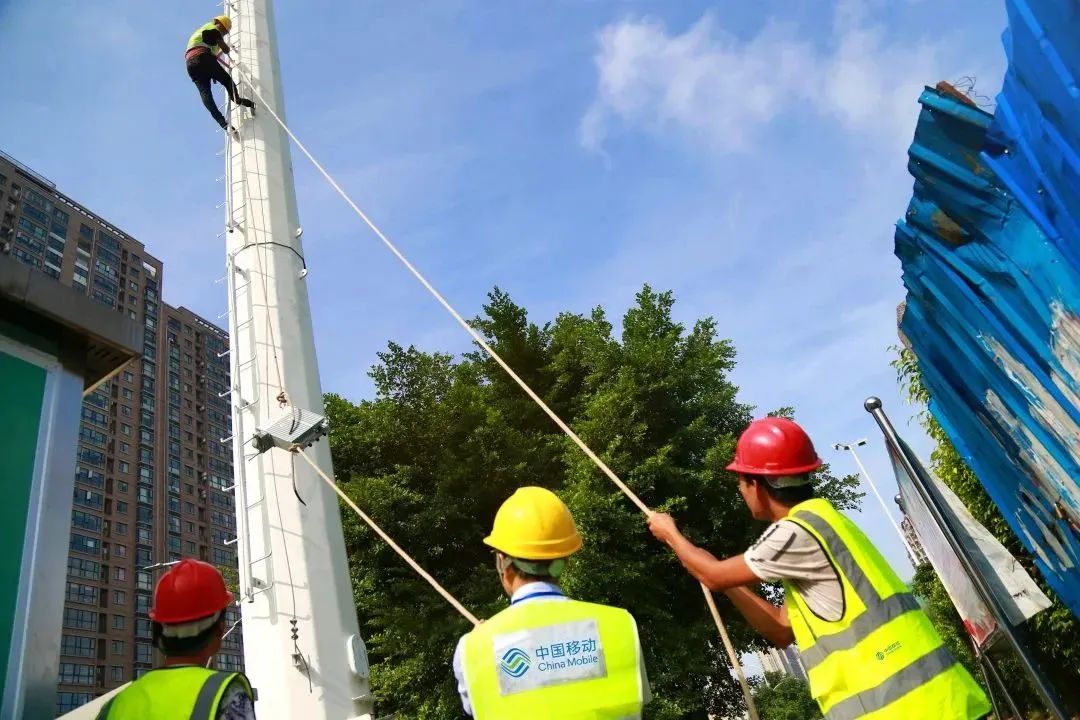 悬念揭晓在即,悬念揭晓视频