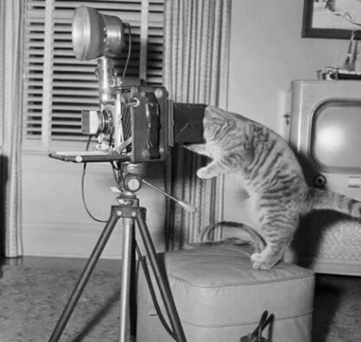 1945年美军摄影师,外国人拍摄延安时期老照片