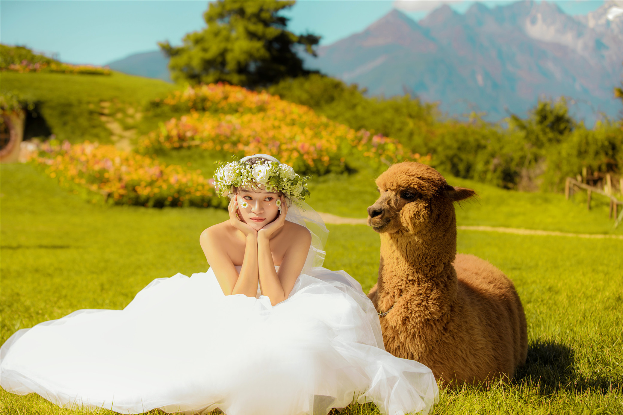 拍婚纱照七夕便宜还是双十一便宜,双十一婚纱照价格表