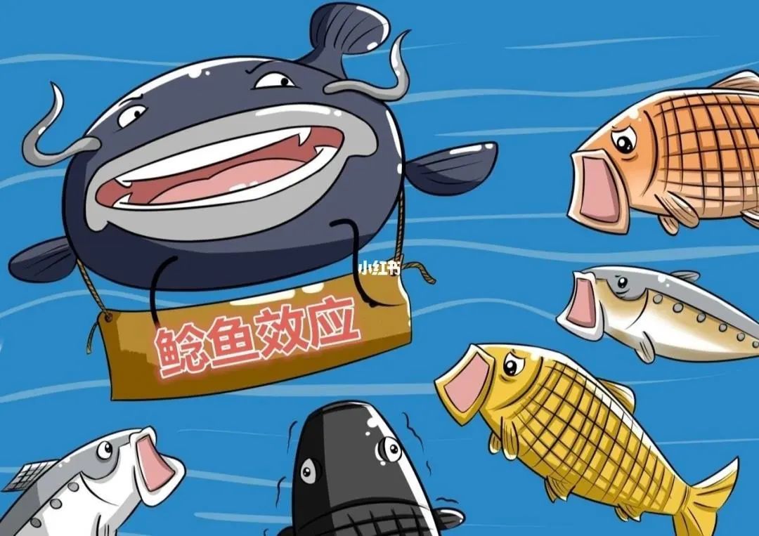 张怡宁回归国乒当教练了吗,张怡宁现在在国乒队担任什么职务