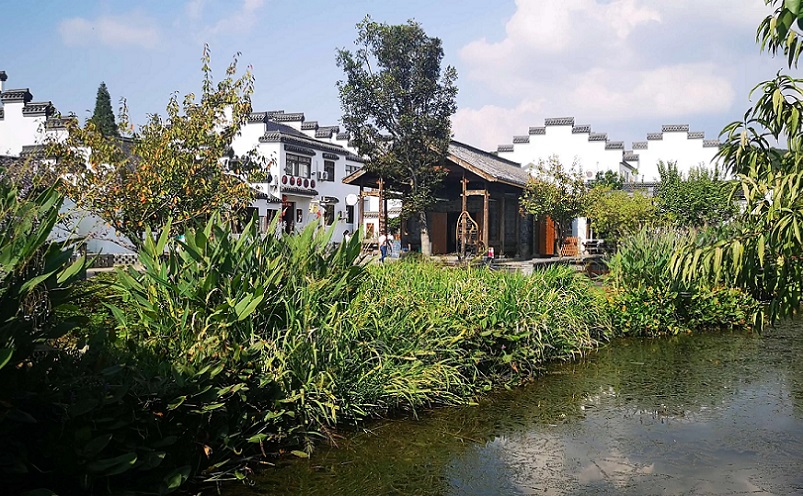 南京免费景点排行榜前十名,南京旅游年卡免费景点一览表