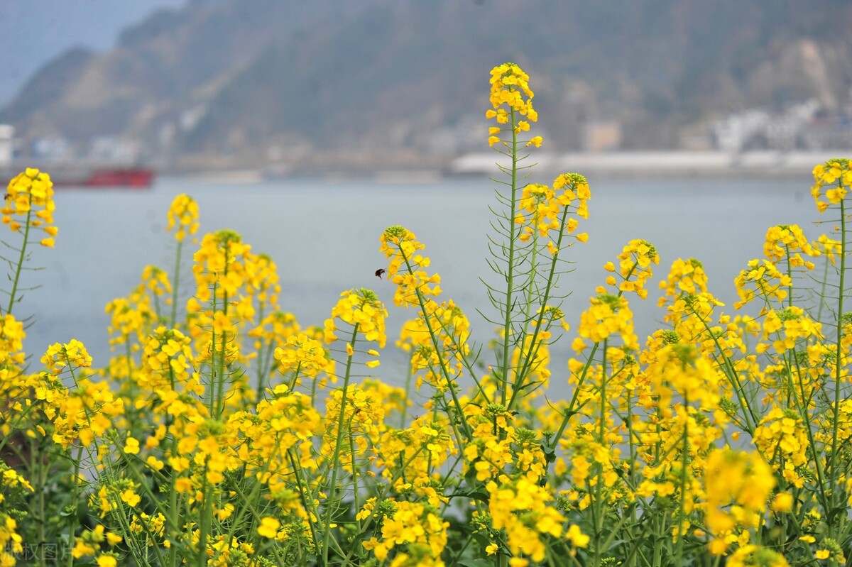 数字经济后将是下一波风口,数字经济再创美好未来