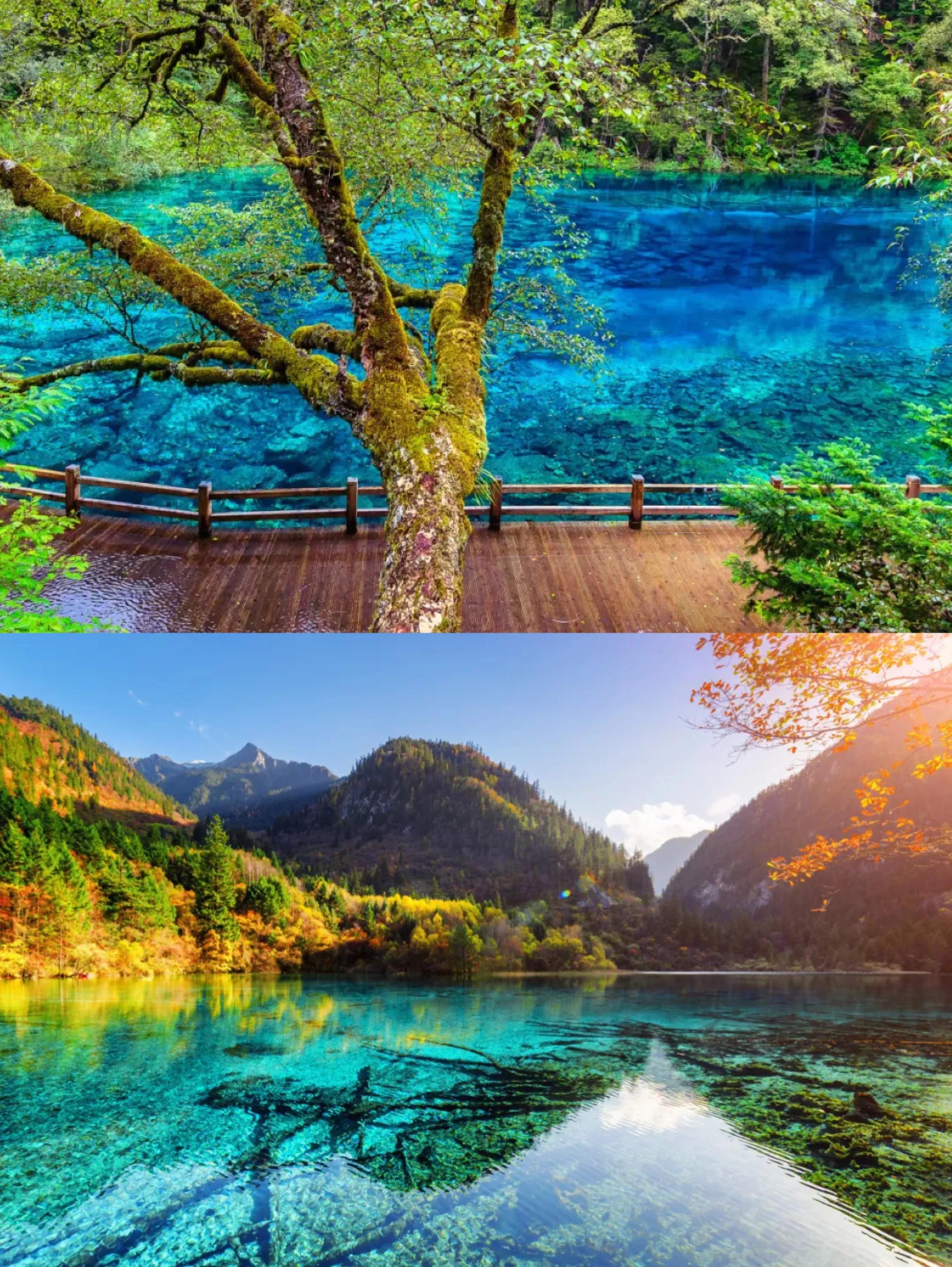 黄龙九寨沟三日游跟团,九寨沟黄龙三日游产品