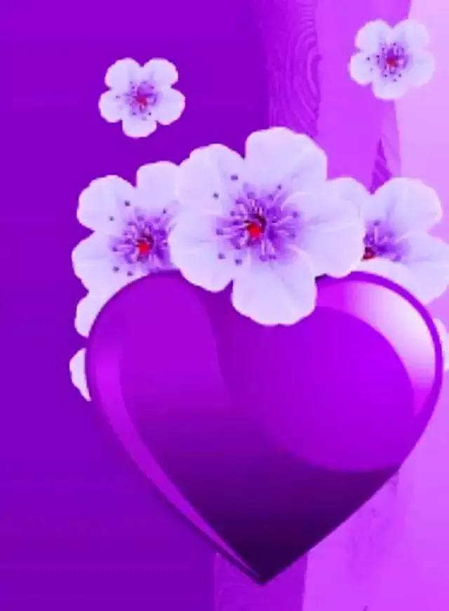 手拿心形图片,心形图片大全