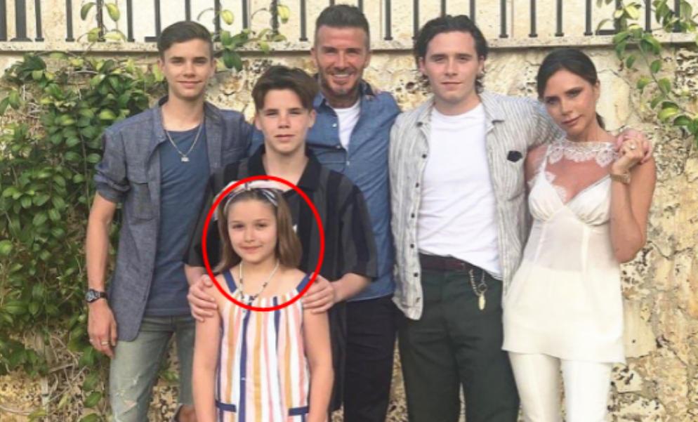 贝小七年轻时的照片,贝小七年轻时照片