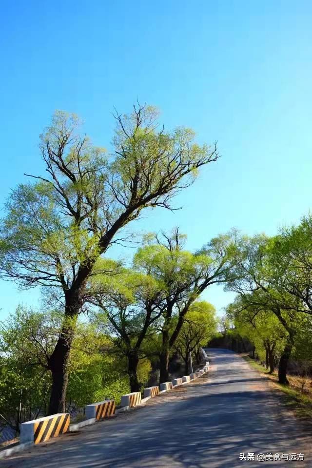 “开边须筑路，救国仗书生”，中国公路泰斗——赵祖康