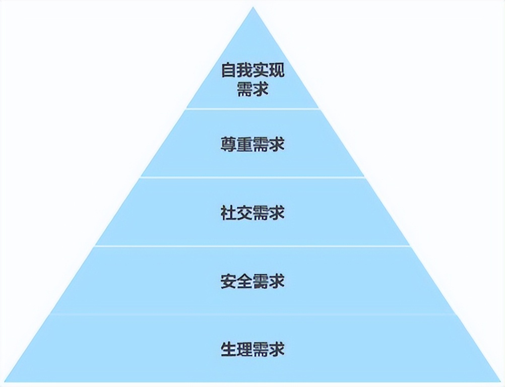 风口的猪全部小说,风口上的猪完整版
