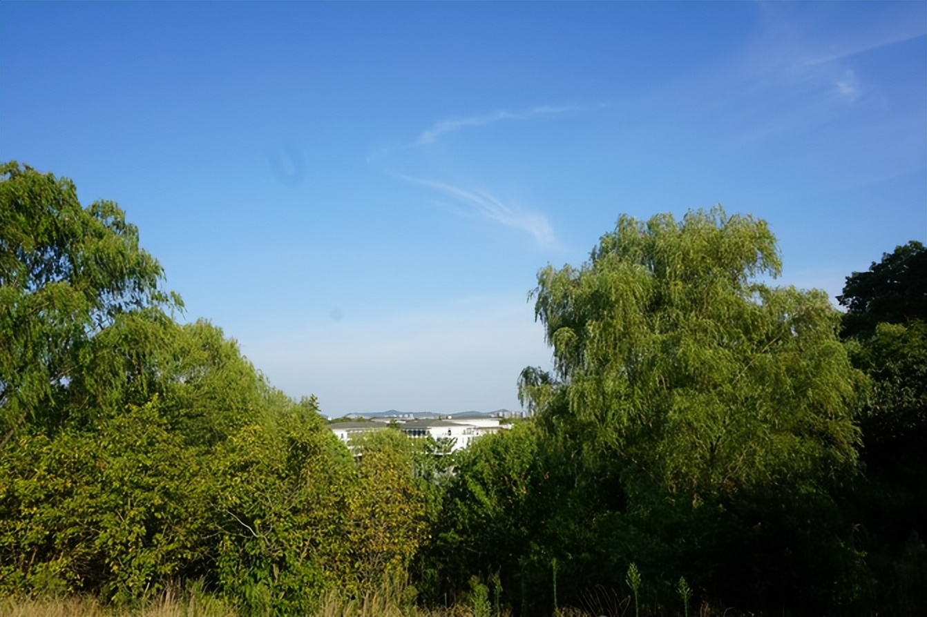 南京紫金山庄哪个楼比较好,南京紫金山庄具体位置