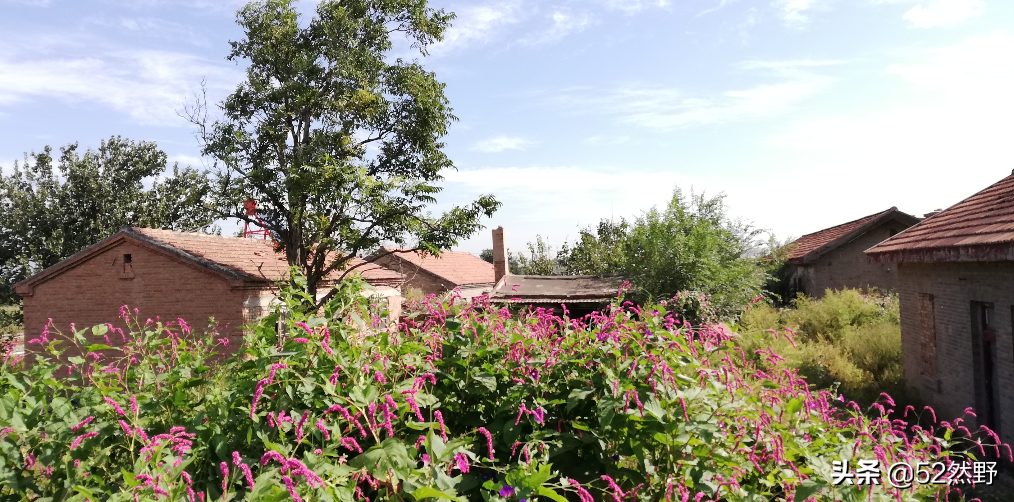 用脚踩出脚印,脚印在地上