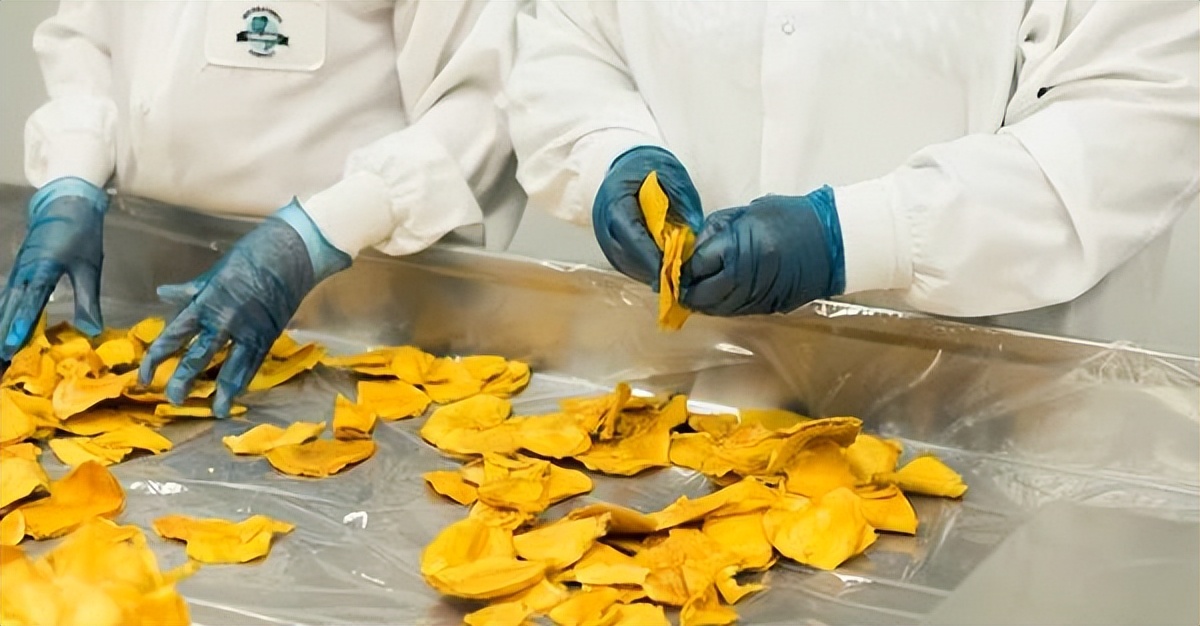 食品加工厂和食品生产公司哪个好,食品加工厂和有限公司的区别