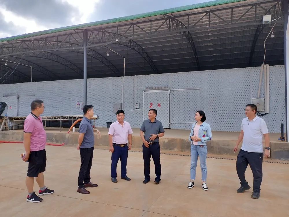 共创乡村振兴发展新格局,全面推进乡村振兴打造五美乡村