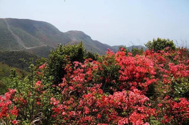 郭涛催人泪下陕北民歌,郭涛即将发布的陕北民歌