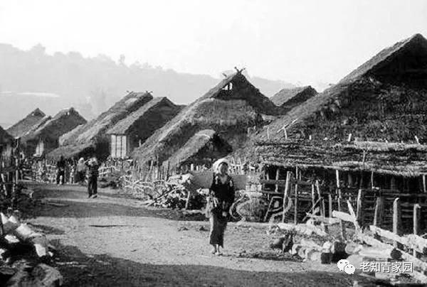 陈凯歌老照片大全集,陈凯歌的知青岁月