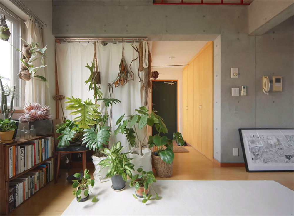 日本夫妻买58平新房,日本夫妻花高价买五平方米房子