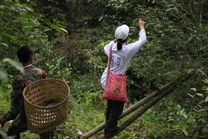 修享茶业钟海勇：以茶行修，打造中国茶文化的独特品牌之路