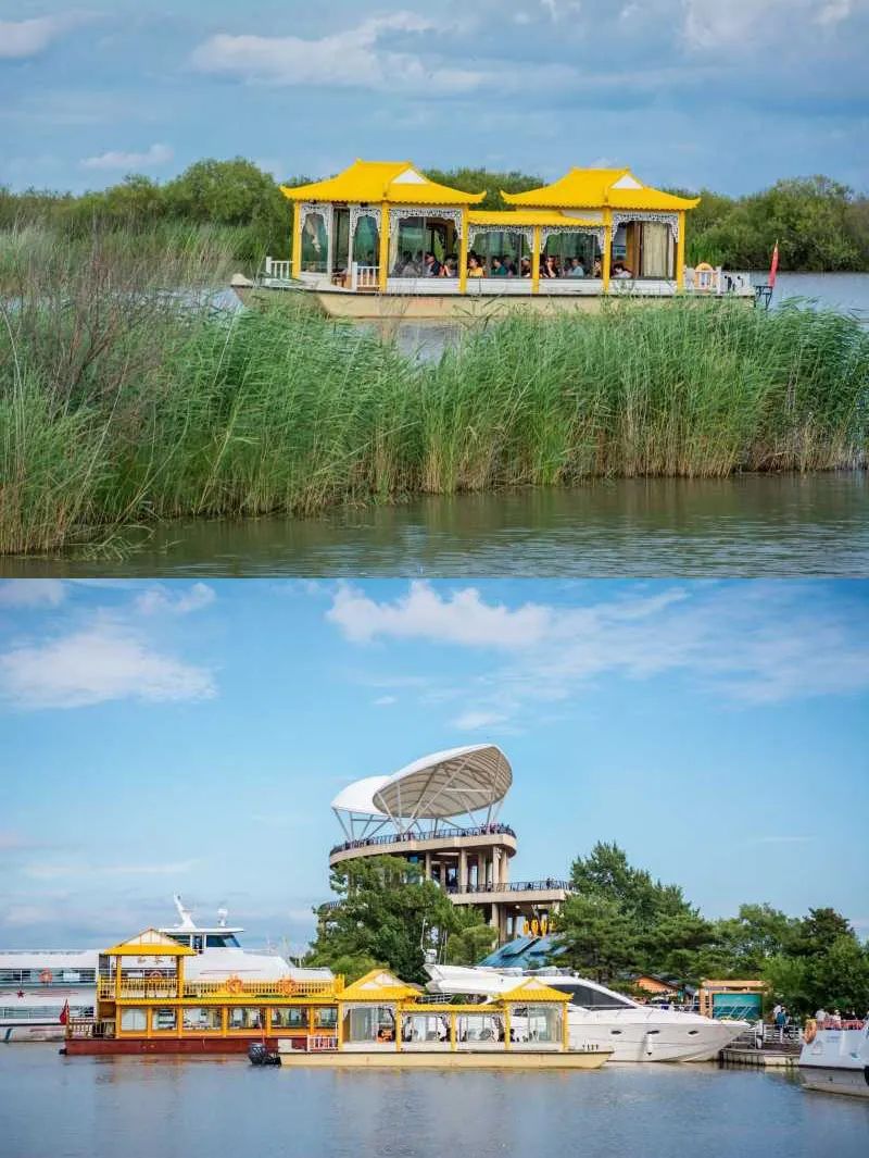 豪华专列游北疆,豪华软卧旅游专列