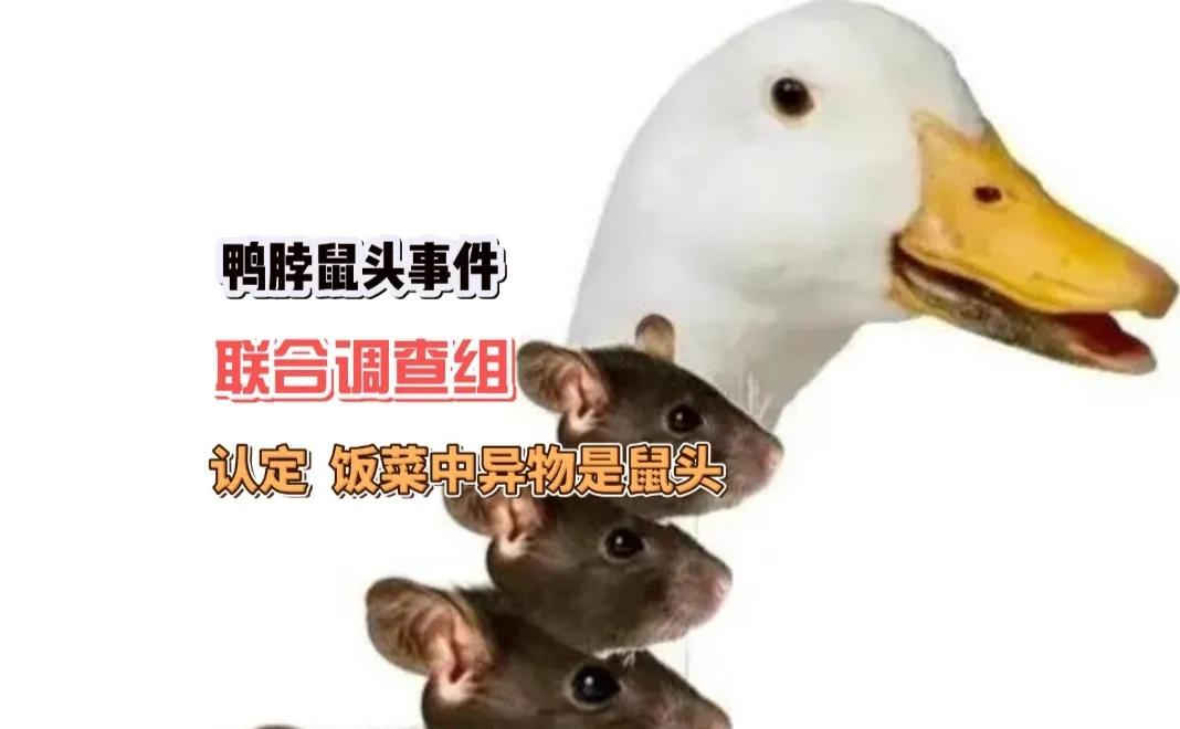 鼠头鸭脖事件后续结果,鼠头鸭脖事件所属公司