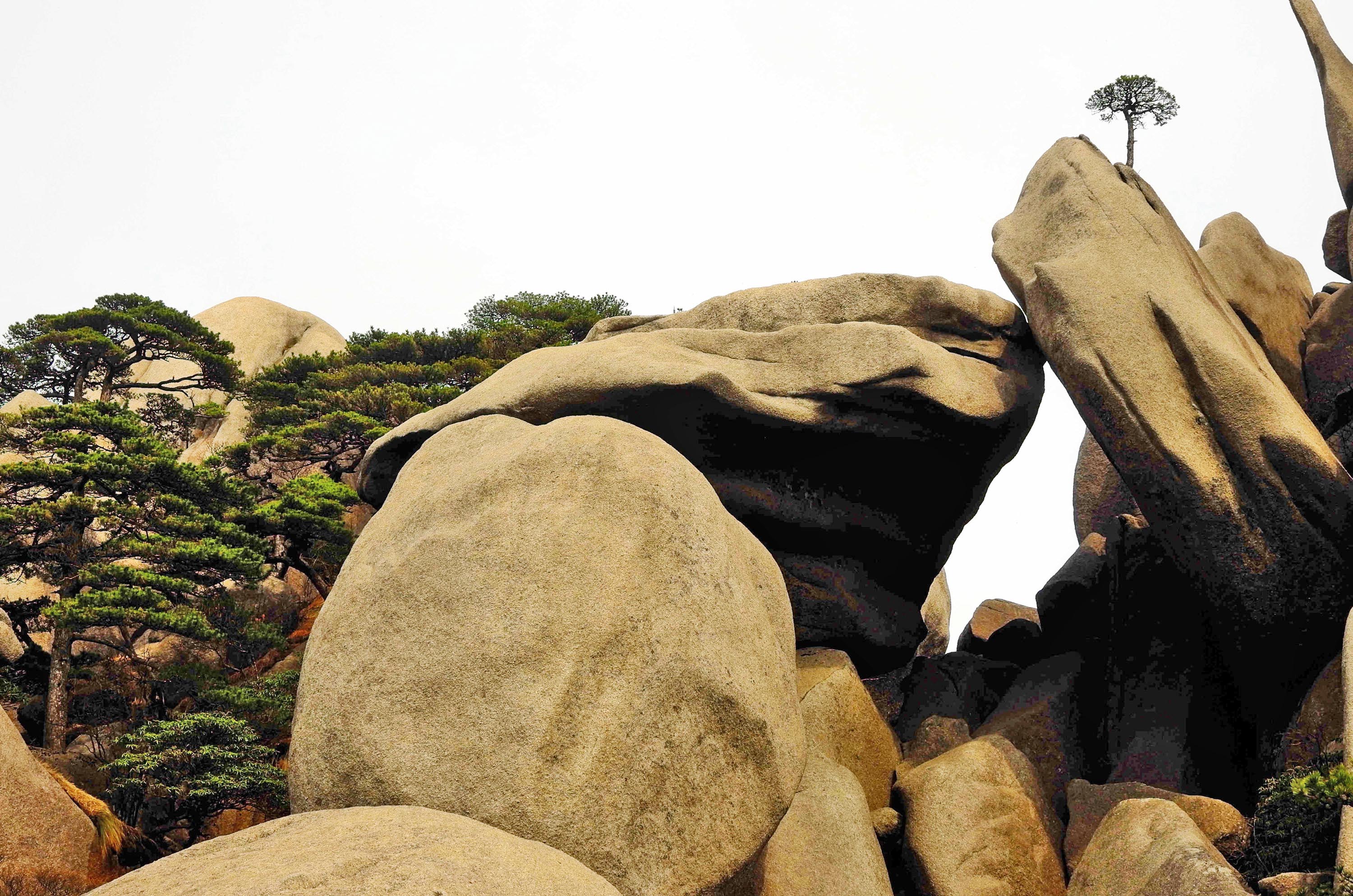 黄山天都峰会走鲫鱼背吗,黄山天都峰鲫鱼背第一视角