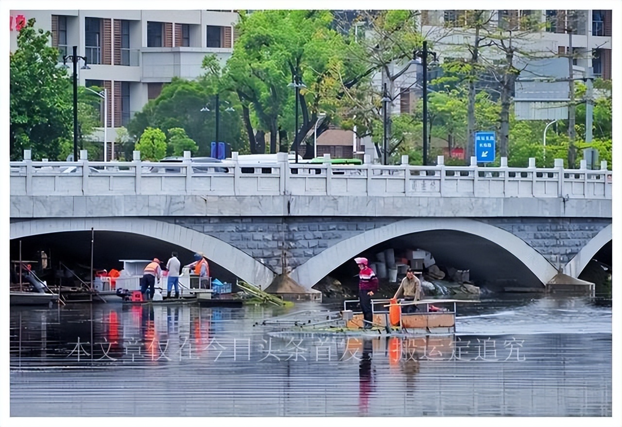 东莞桥洞下妙龄女子自称外貌绝美,东莞桥洞下妙龄女子语出惊人