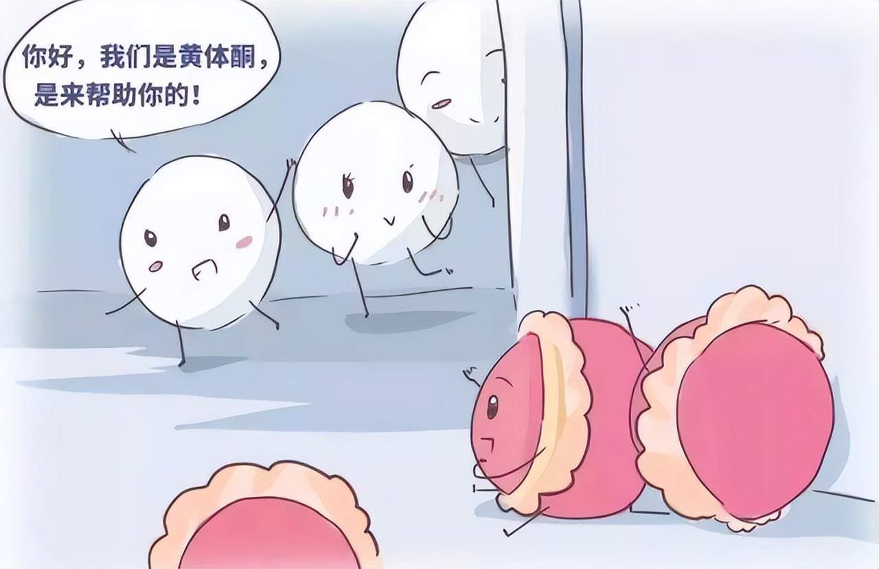 女性黄体酮不足吃什么食物能补充,女性黄体酮不足有哪些症状